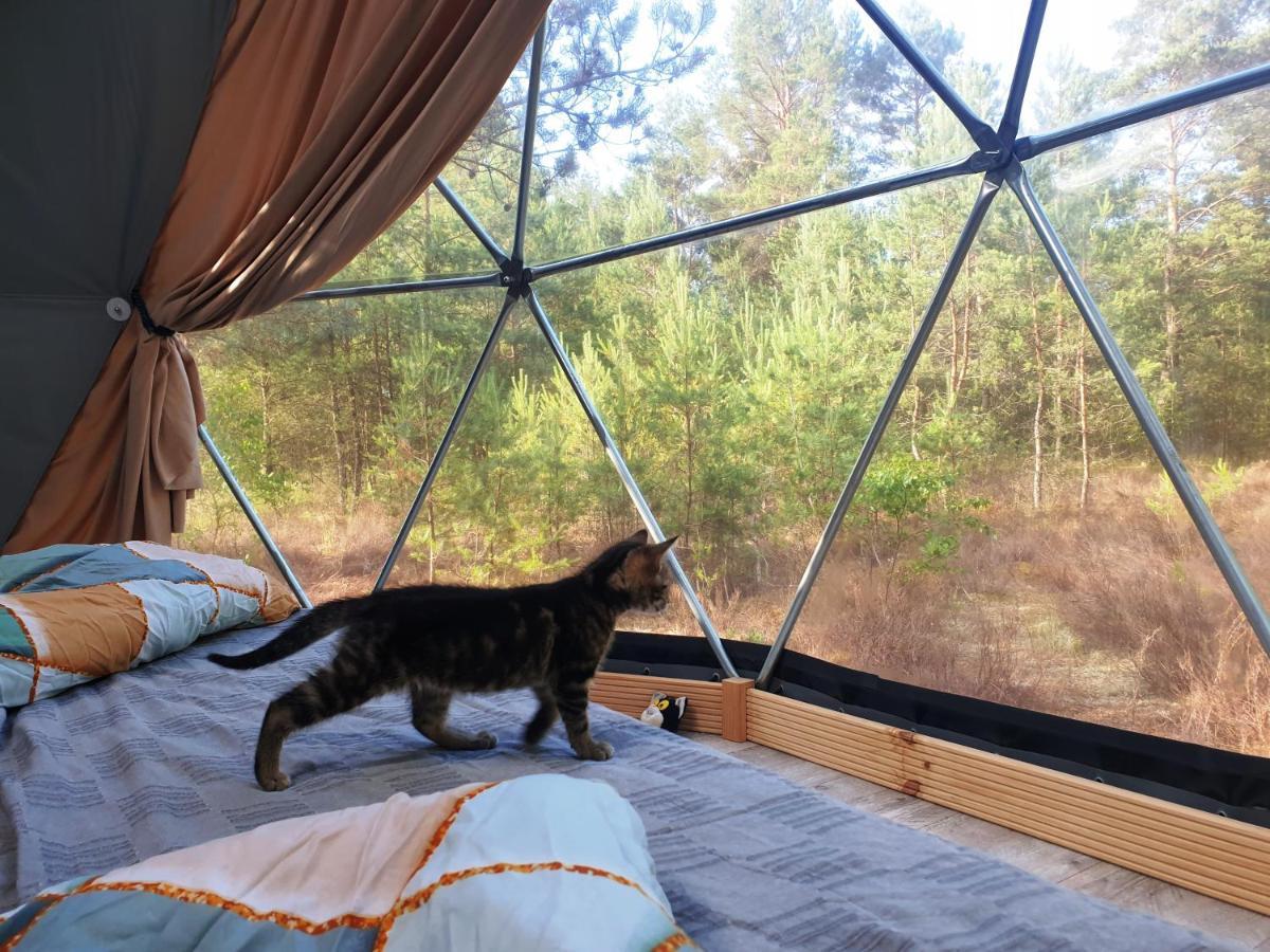 Podniebny Glamping Hotel Borsk Eksteriør billede